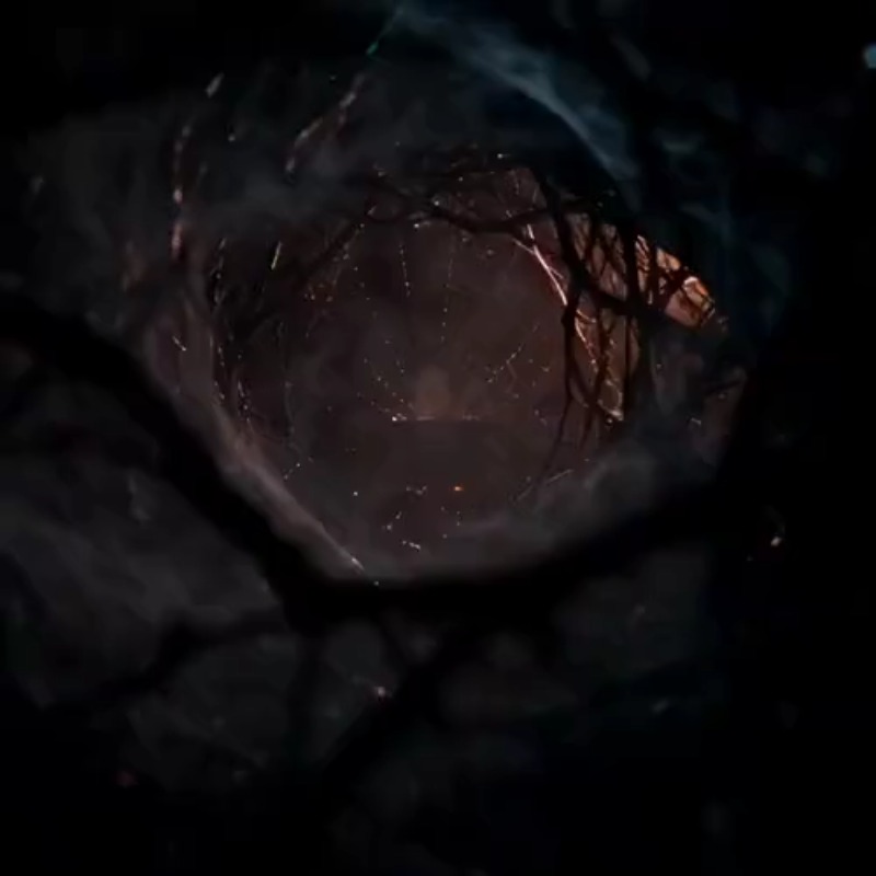Halloween Spider Ad