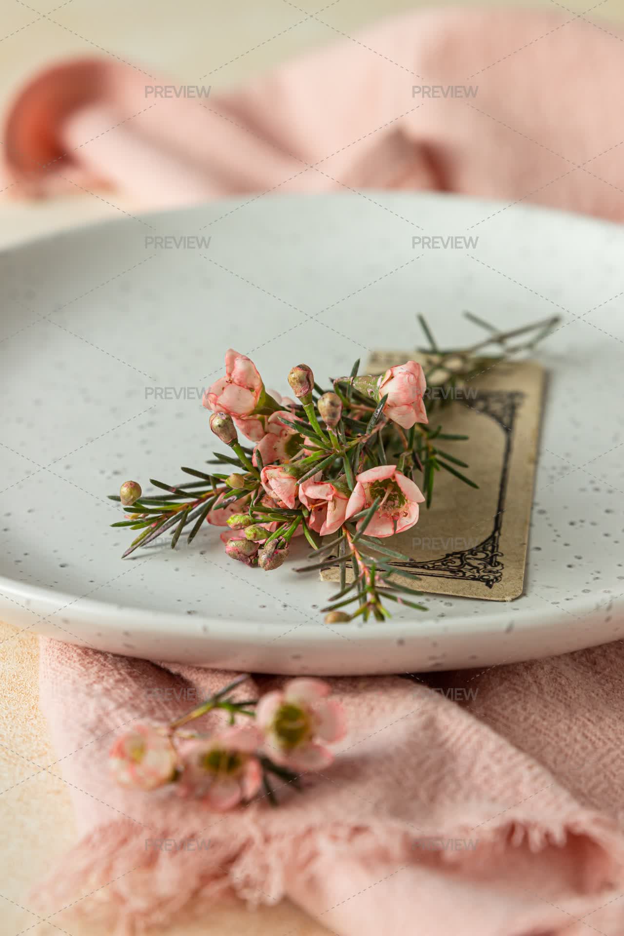 Rustic Spring Table Setting - Stock Photos | Motion Array