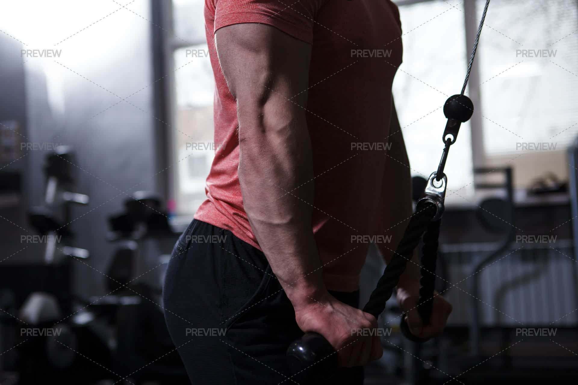 Ripped Muscular Arms Of A Bodybuilder - Stock Photos | Motion Array