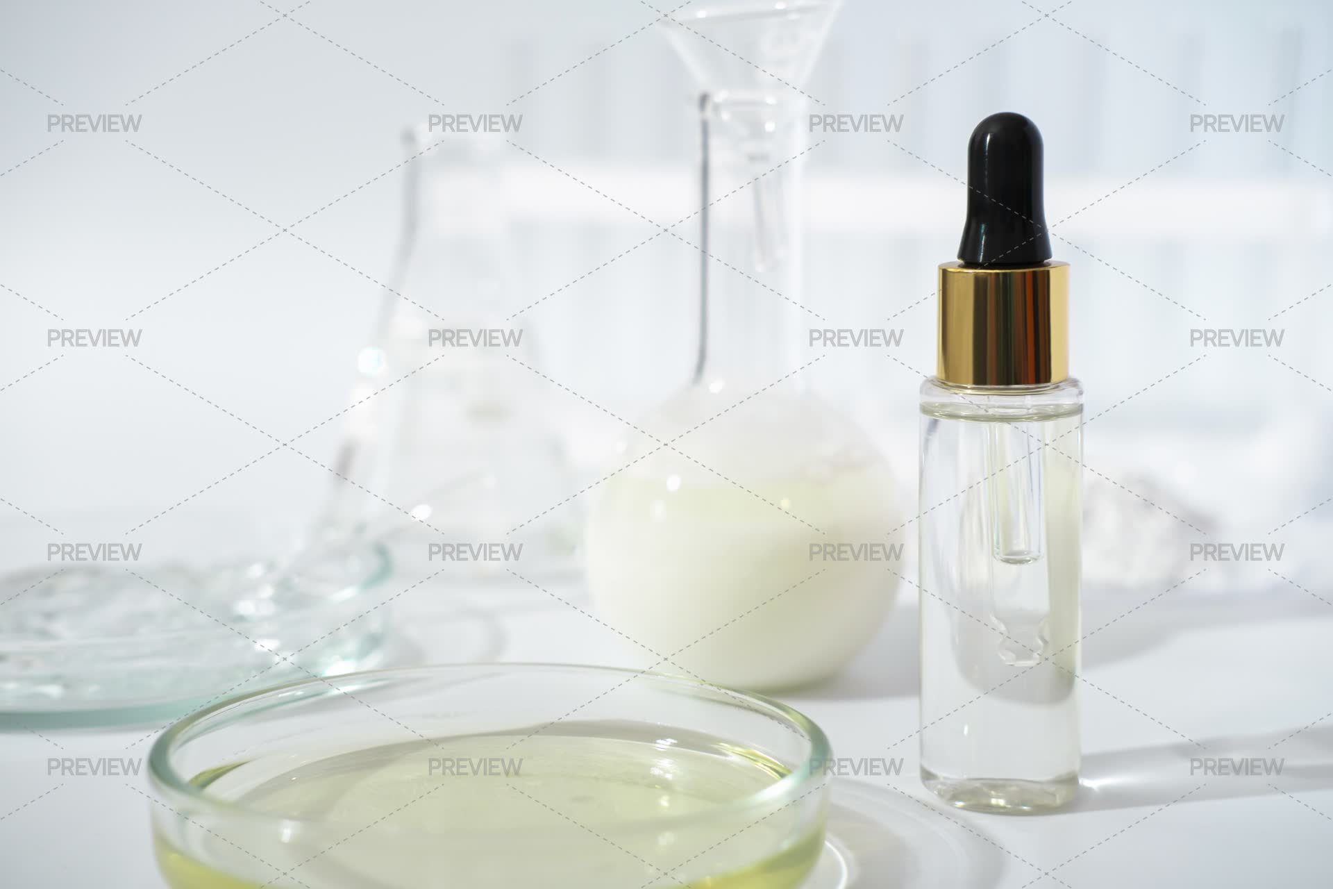 Laboratory Dishes And Glassware In A Lab - Stock Photos | Motion Array