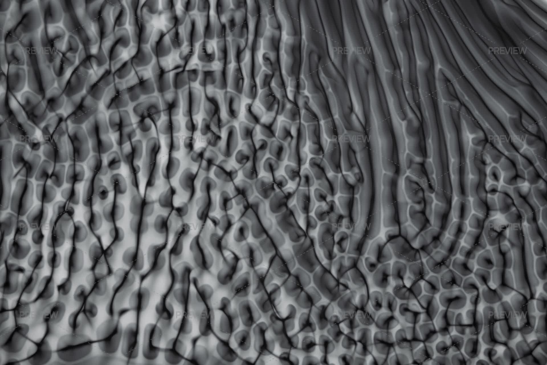 Dark Ink Under The Microscope - Stock Photos | Motion Array