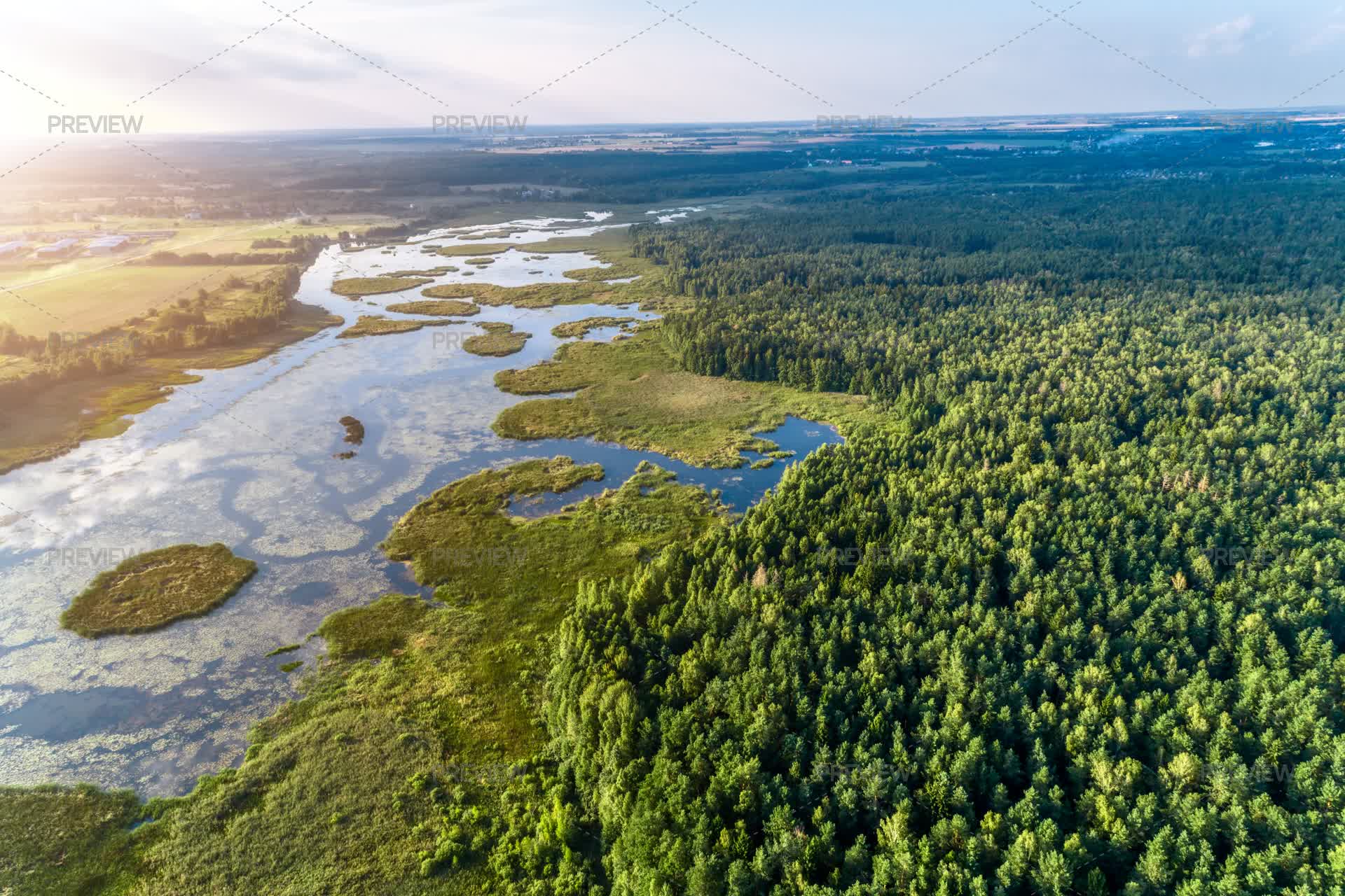 Large Forest Lake - Stock Photos | Motion Array