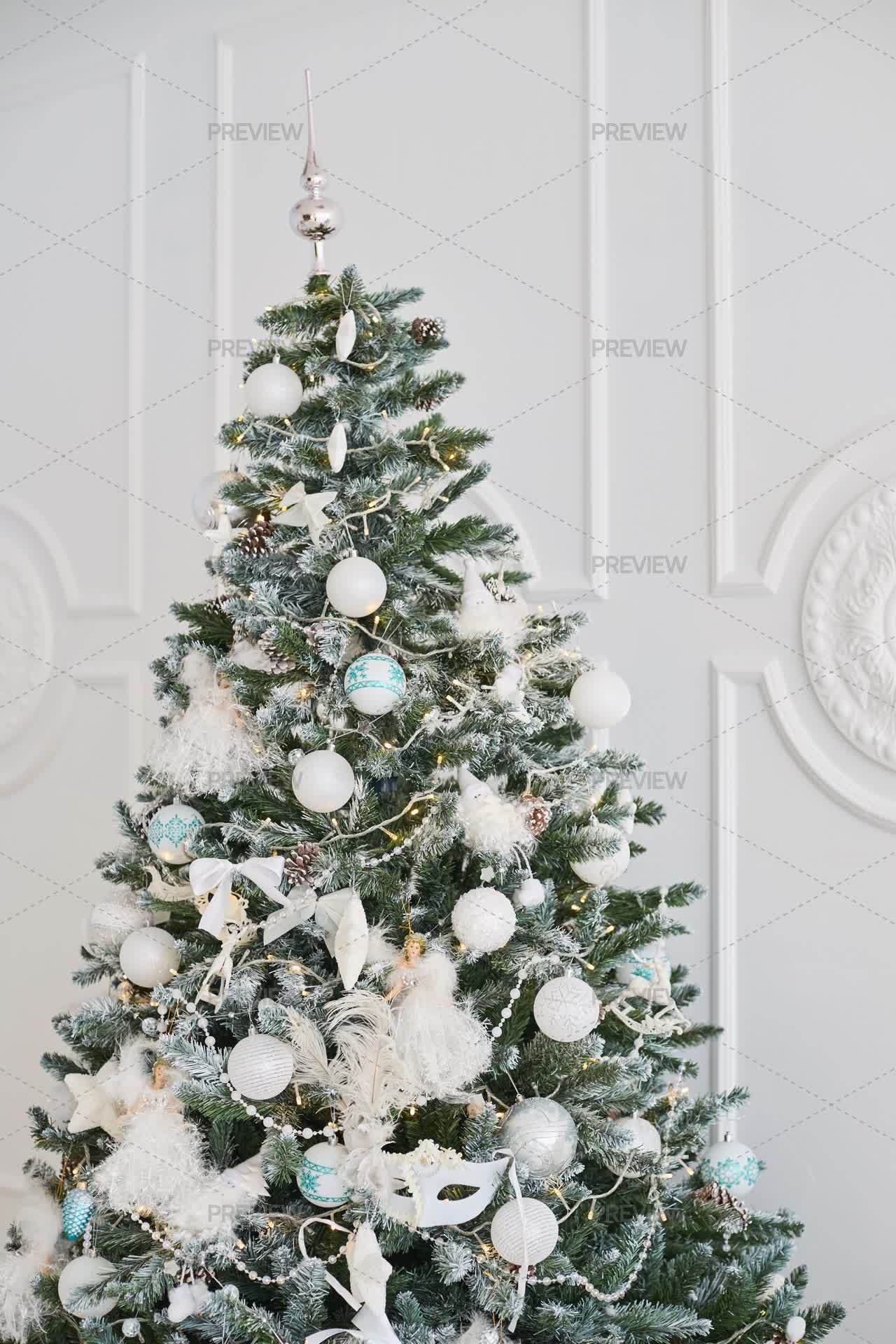 Christmas Tree - Stock Photos | Motion Array