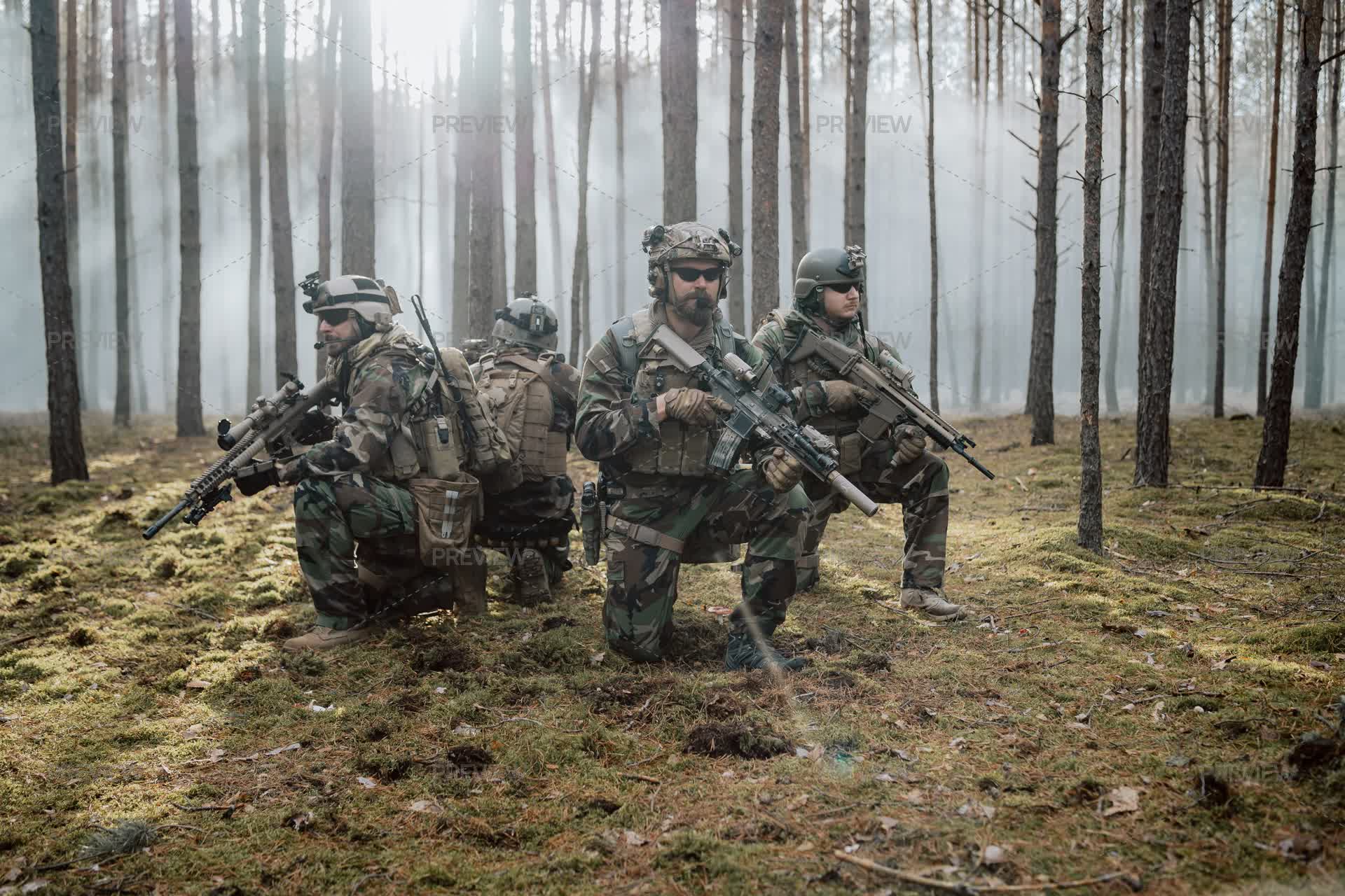 Alert Position Usmc Soldiers In The Forest In Alert Position - Stock Photos | Motion Array
