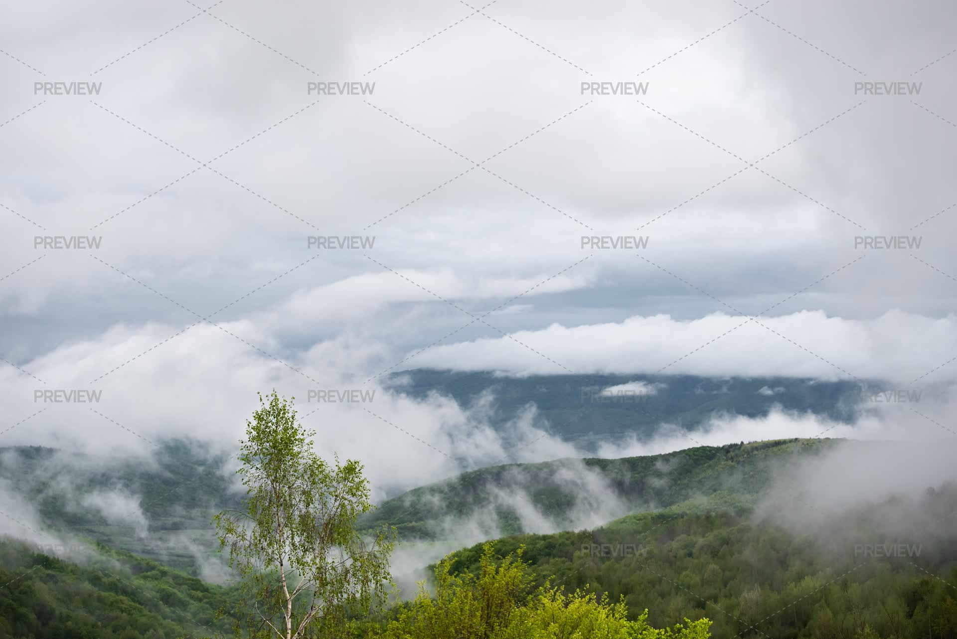 Changeable Spring Weather With Fog - Stock Photos | Motion Array