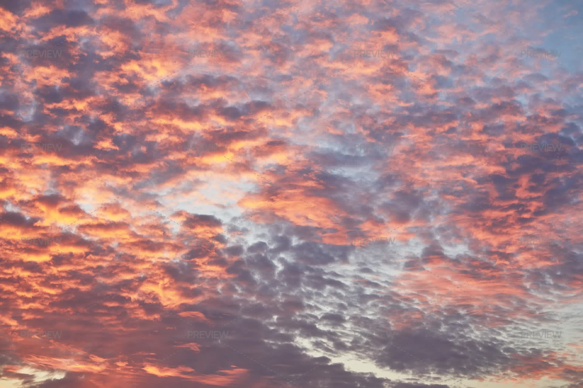 Sunset Texture Sunset Belini Original Abstract Wall Art By Caroline
