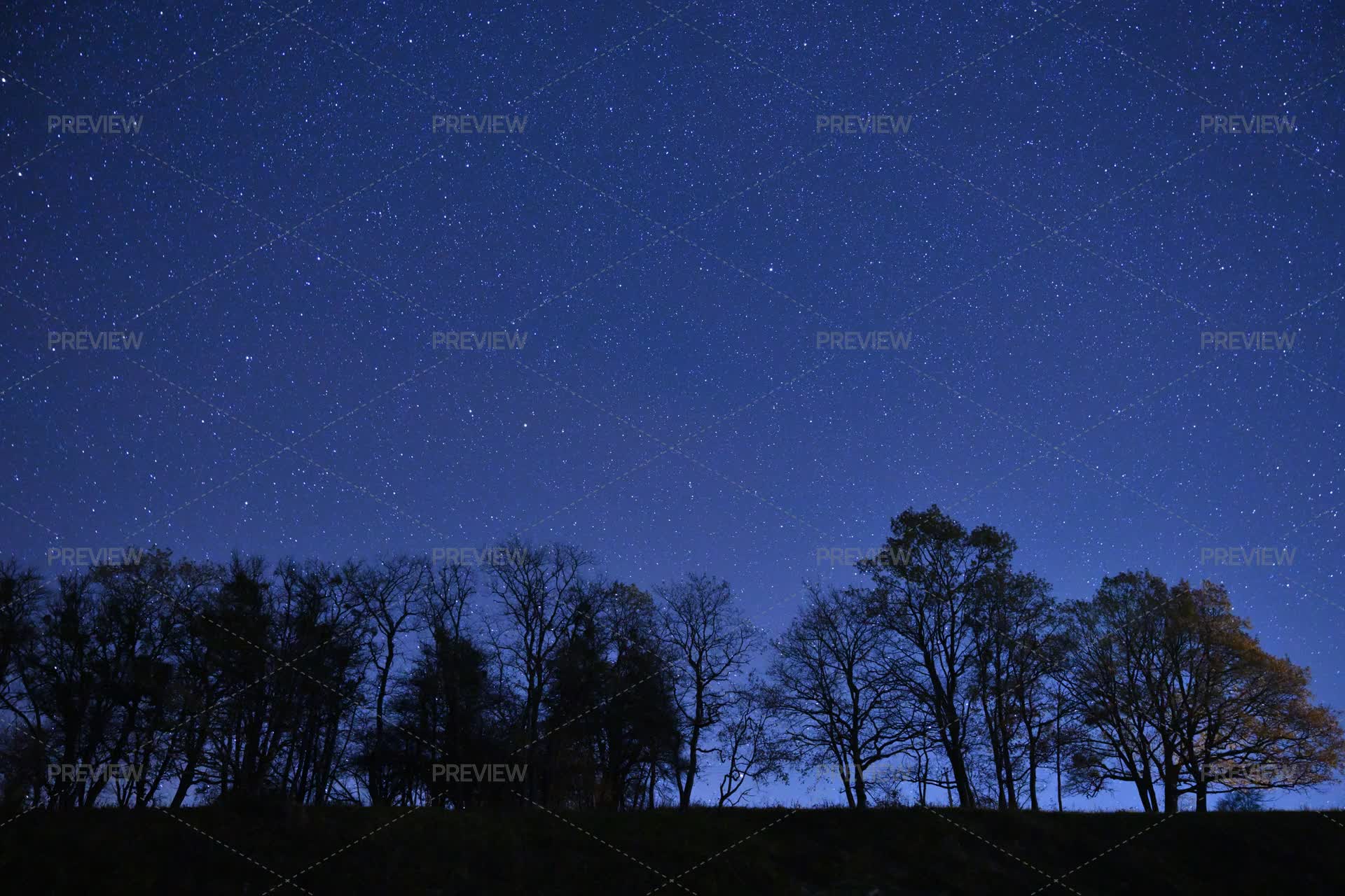 Beautiful Night Sky Over Trees - Stock Photos | Motion Array