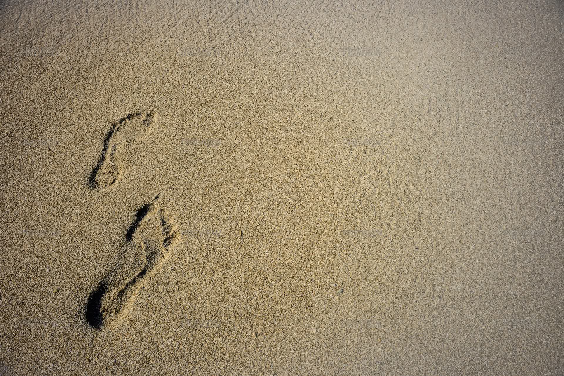Human Footprints In The Sand - Stock Photos | Motion Array