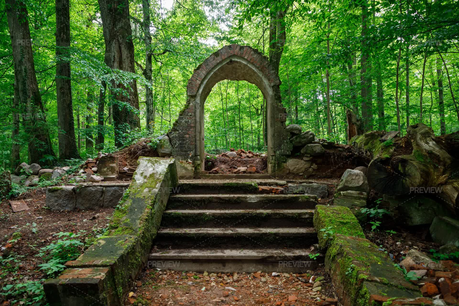 Abandoned Old Crypt In The Middle Of A Forest In The Kaliningrad Region ...