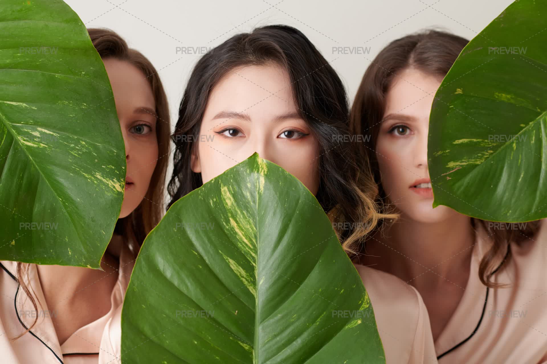 Women Covering Faces With Green Leaves Stock Photos Motion Array women-covering-faces-with-green-leaves-stock-photos-motion-array