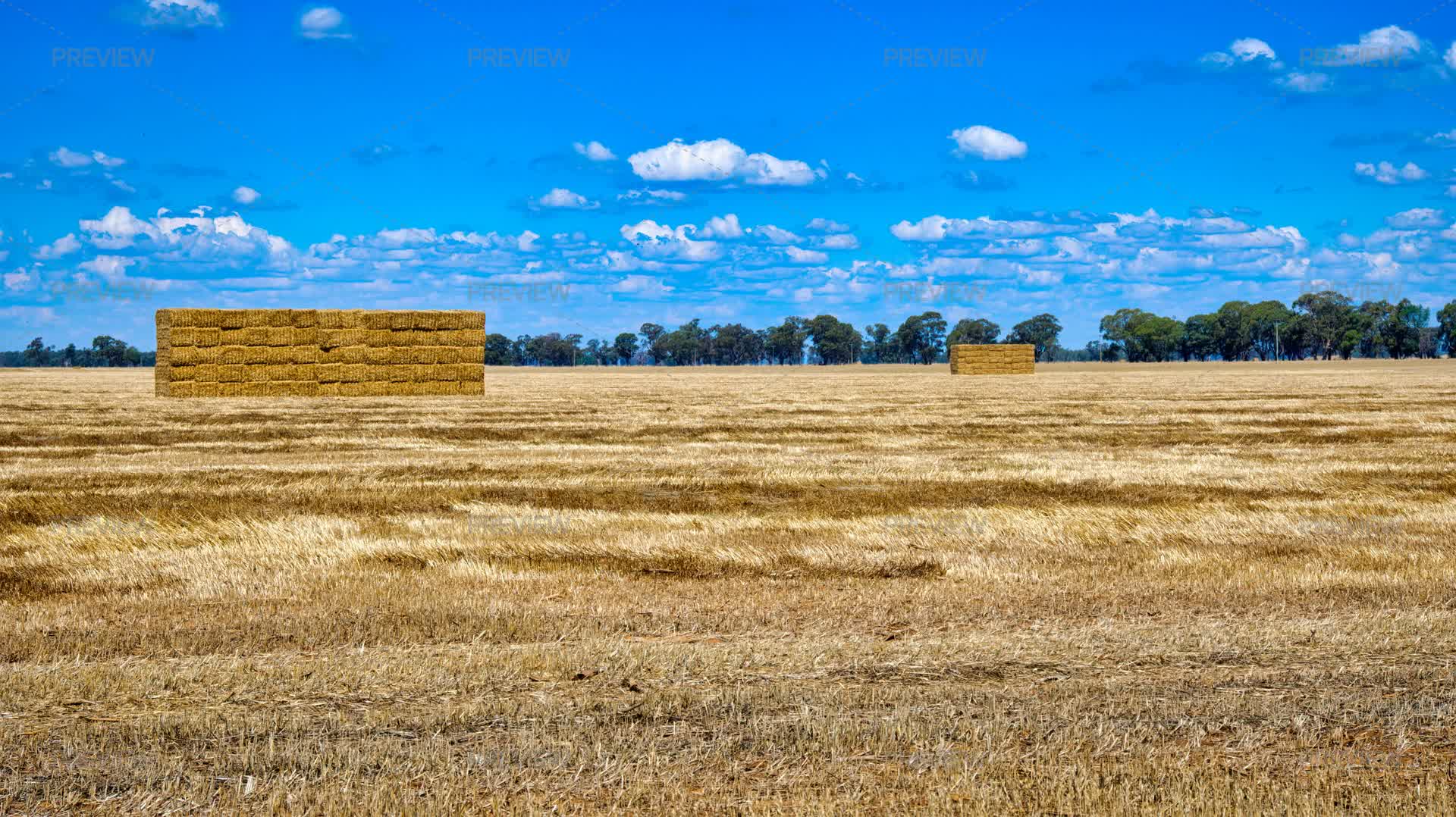 Large Hay Stacks In A Paddock Near Savernake NSW Australia - Stock ...