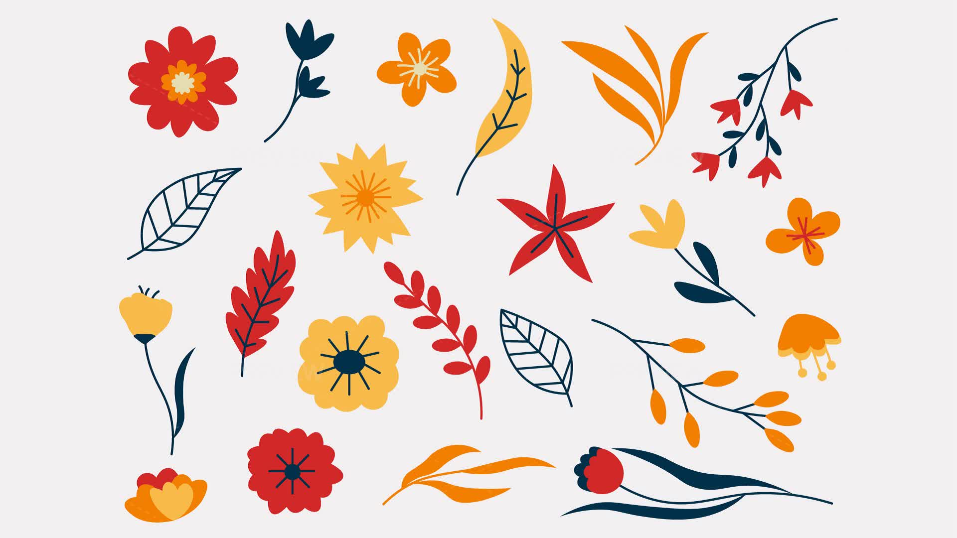 Floral Elements - Graphics | Motion Array