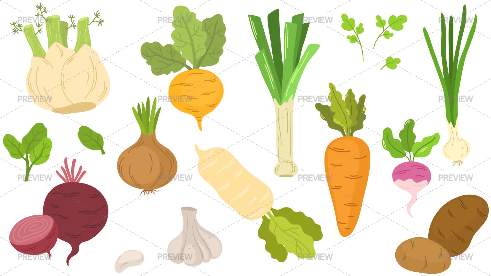 Root Veg Cartoon Root Vegetable Illustrations - Graphics | Motion Array
