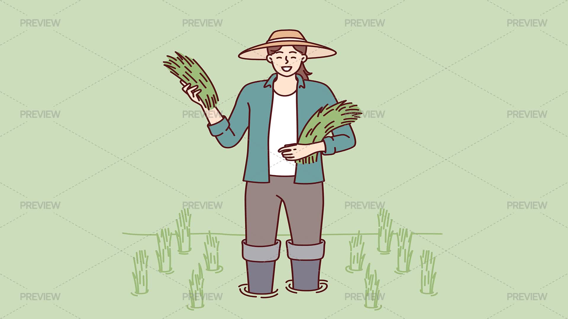A Woman Planting Rice - Graphics | Motion Array