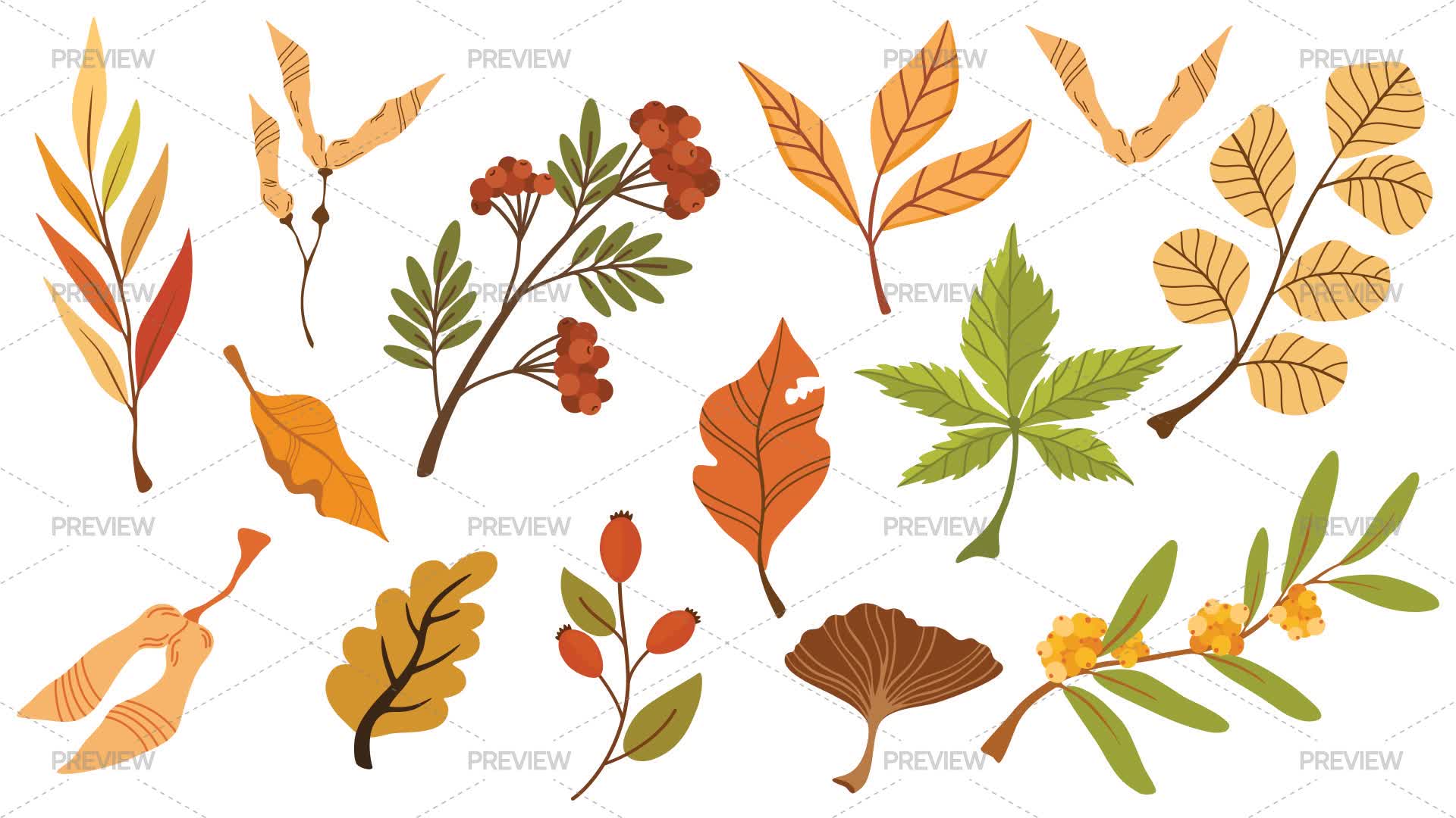 15 Fall Foliage - Graphics | Motion Array
