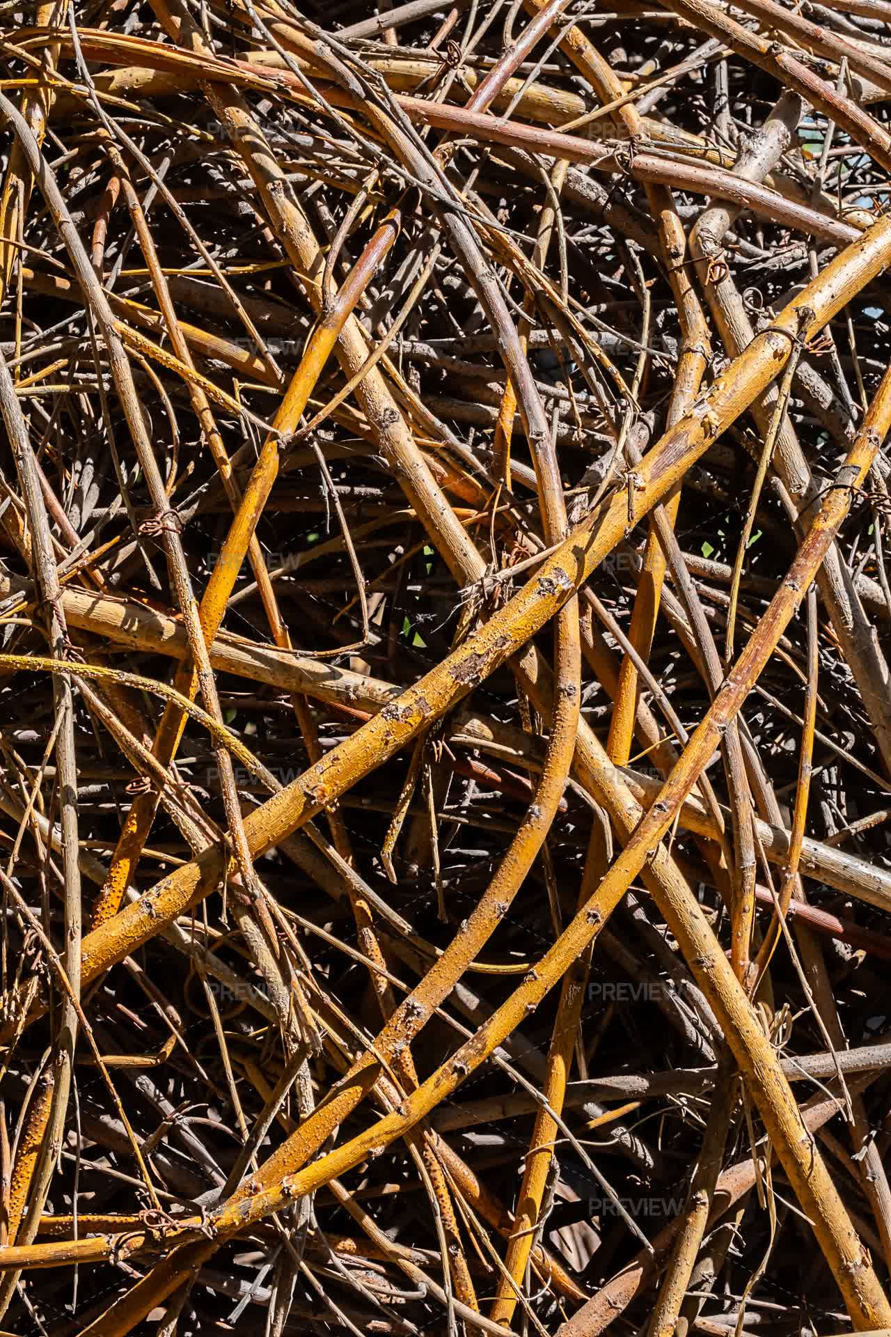 Tangled Pile Of Dry Twigs And Branches - Stock Photos | Motion Array