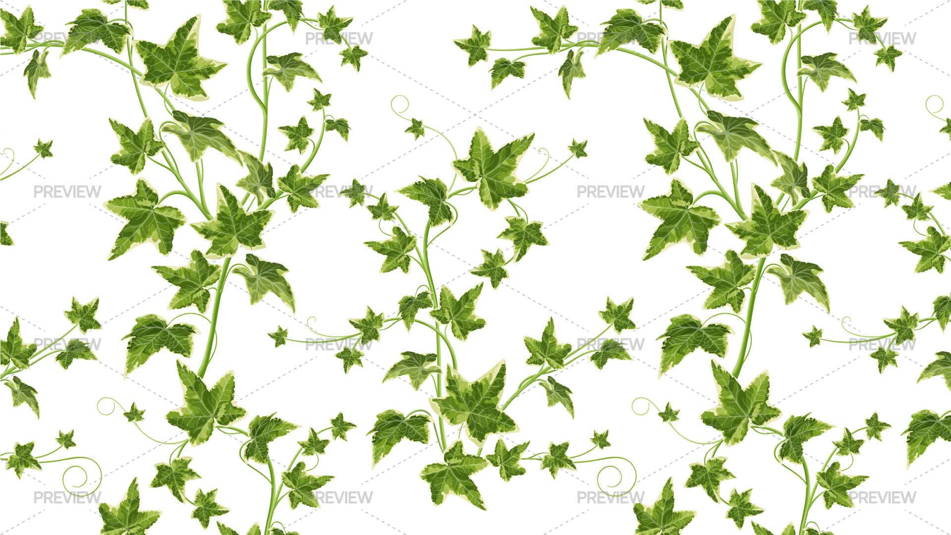 Graphics Ivy Pattern Seamless Pattern With Green Ivy Leaves - Graphics | Motion Array
