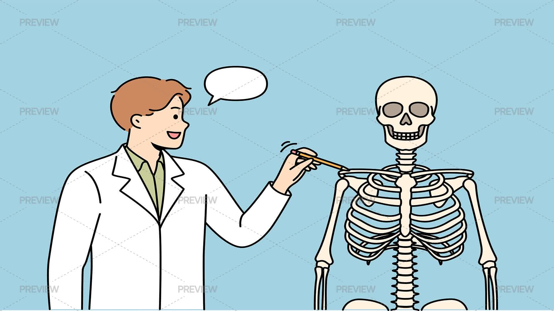 Teacher Explains Structure Of Human Skeleton - Graphics | Motion Array