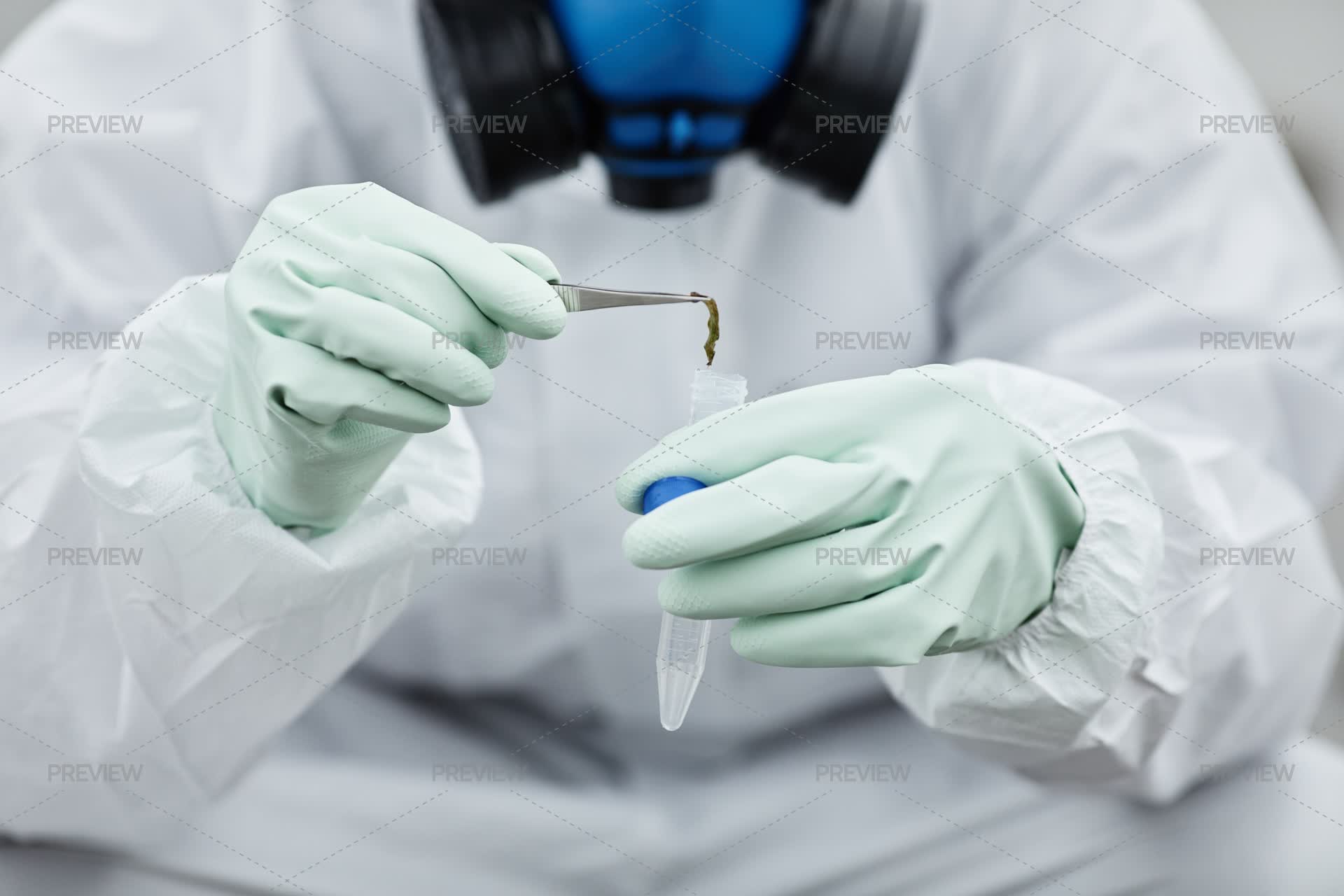 Scientist Collecting Sample Close Up - Stock Photos | Motion Array