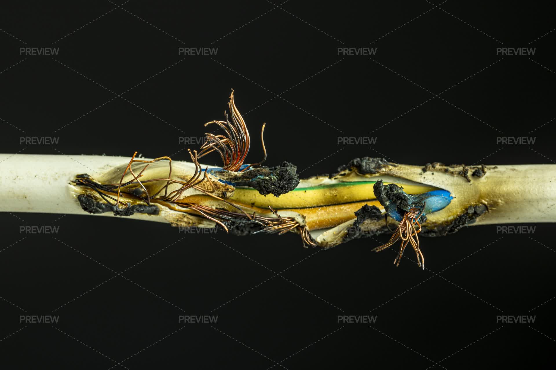 Cable Ripped Off Damaged Electrical Cable - Stock Photos | Motion Array