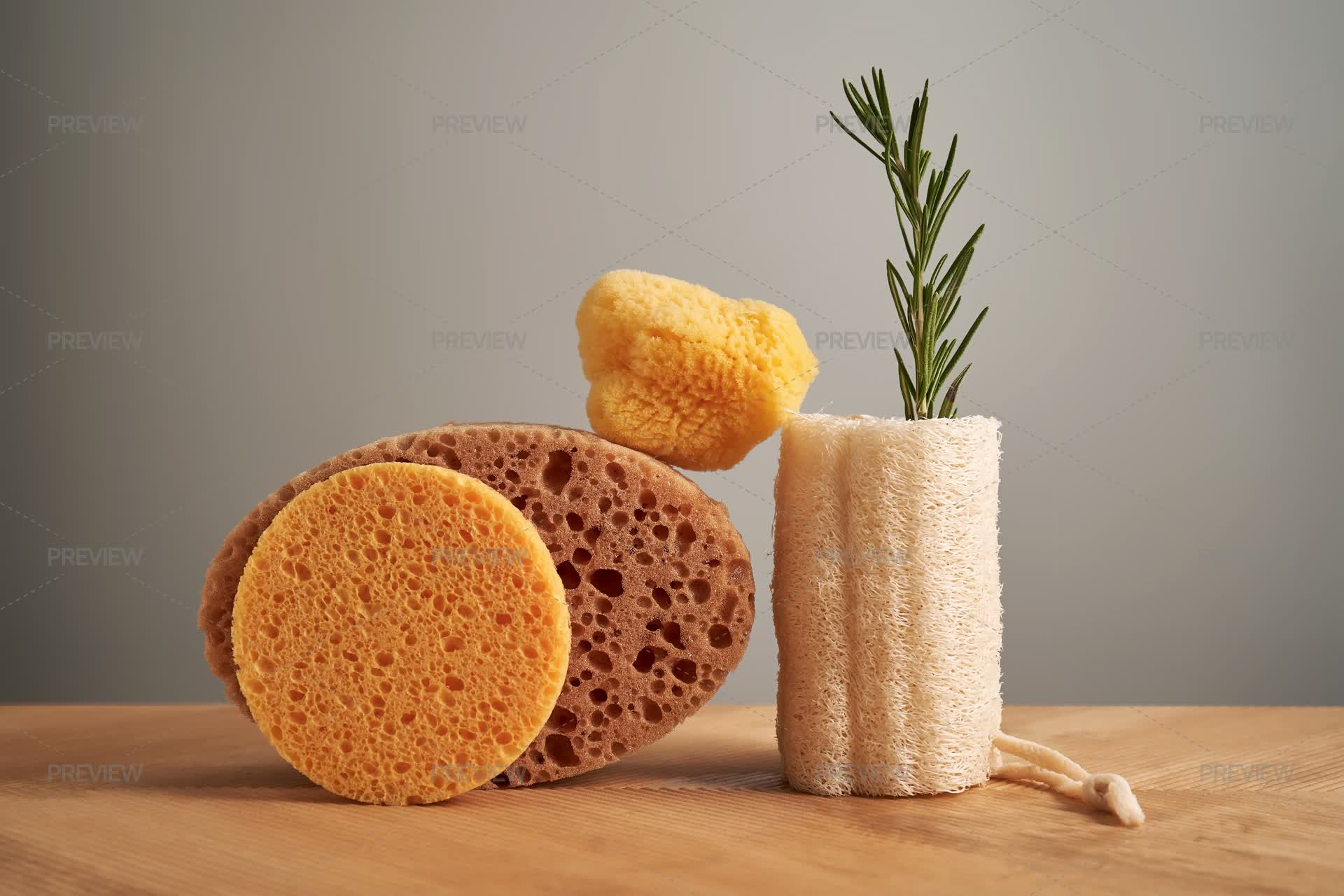 Composition Of Natural Sponges - Stock Photos | Motion Array