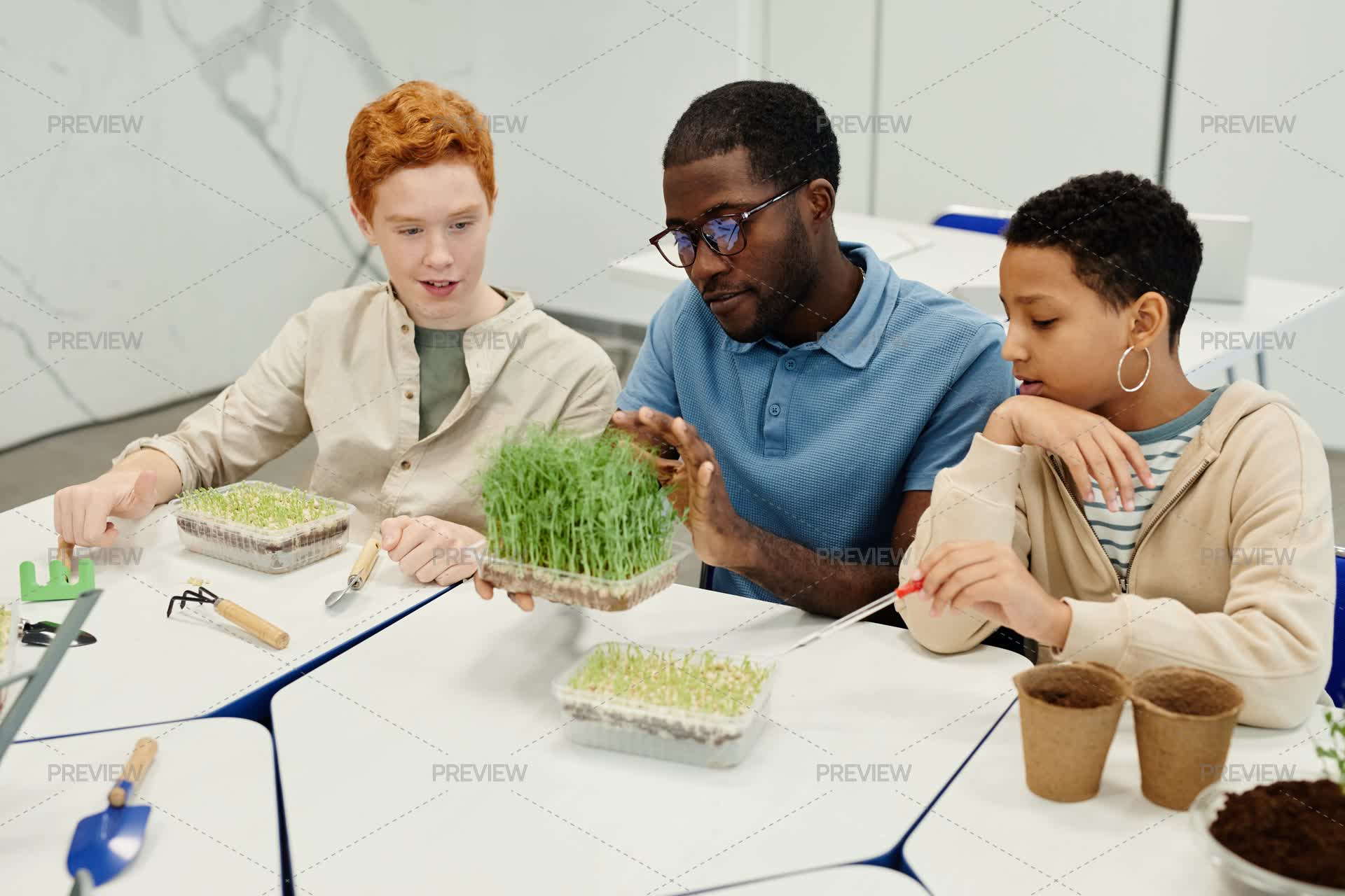 Daily Biological Experiments Students Performs Biology Experiments With Teacher In School - Stock ...