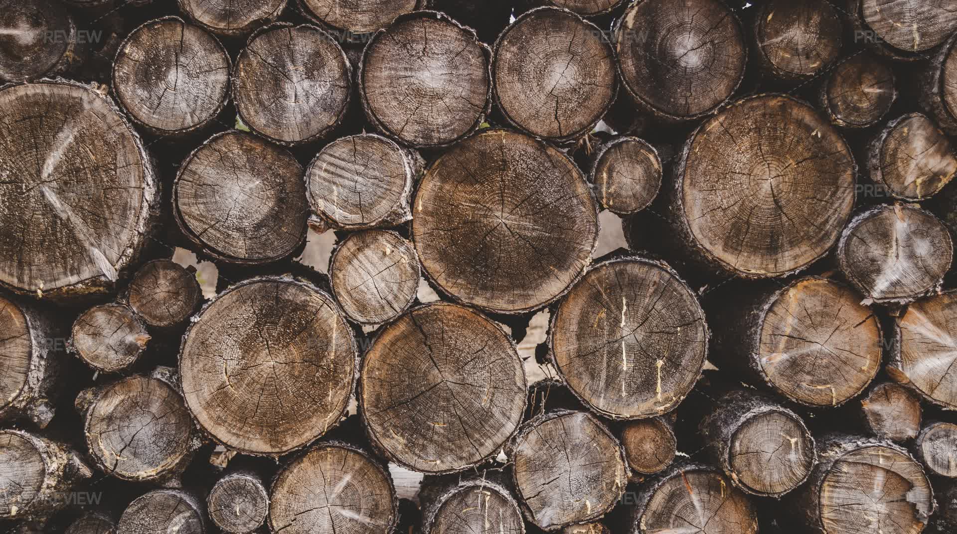 Log Stack - Stock Photos | Motion Array