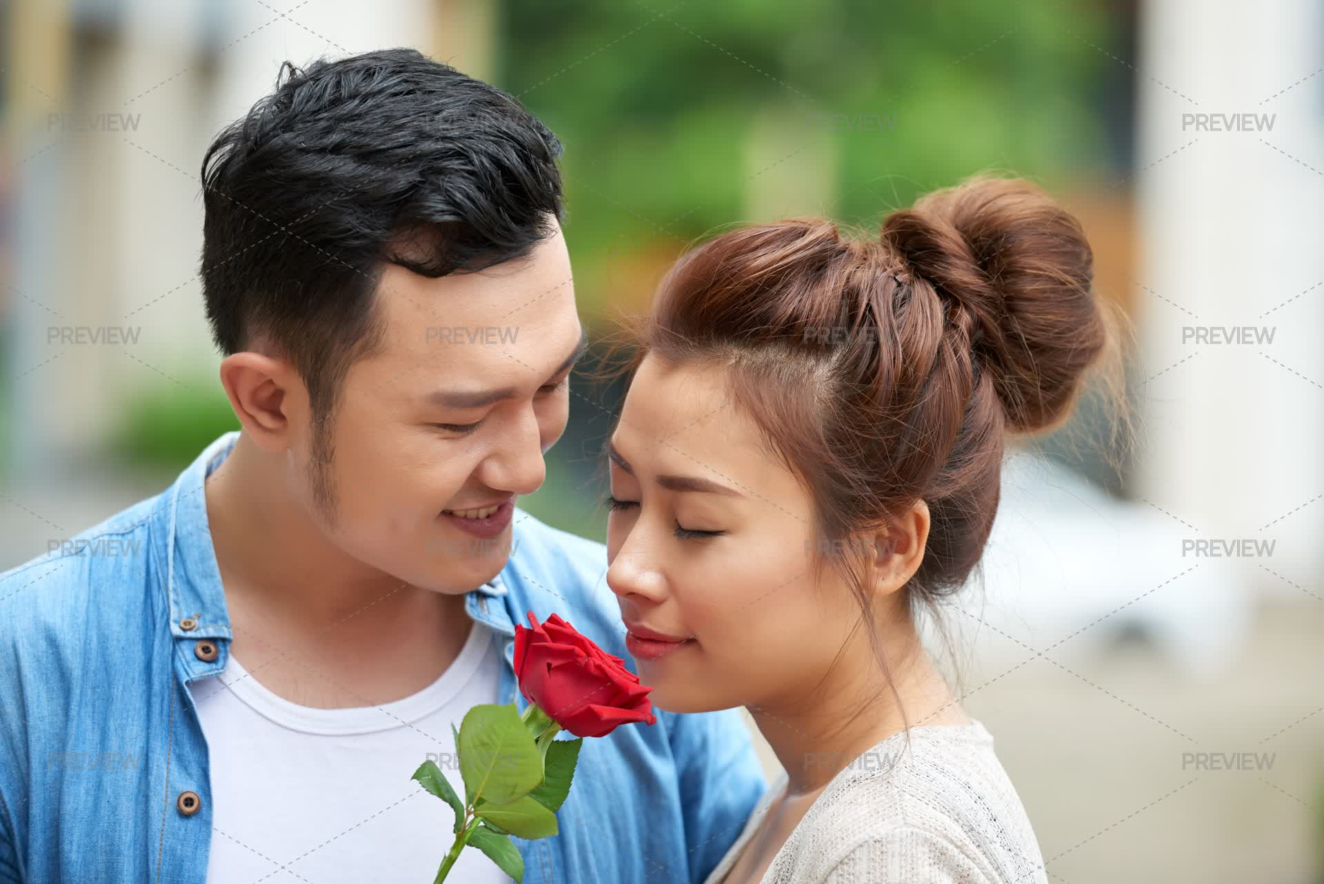 Red Rose For Beautiful Woman - Stock Photos | Motion Array