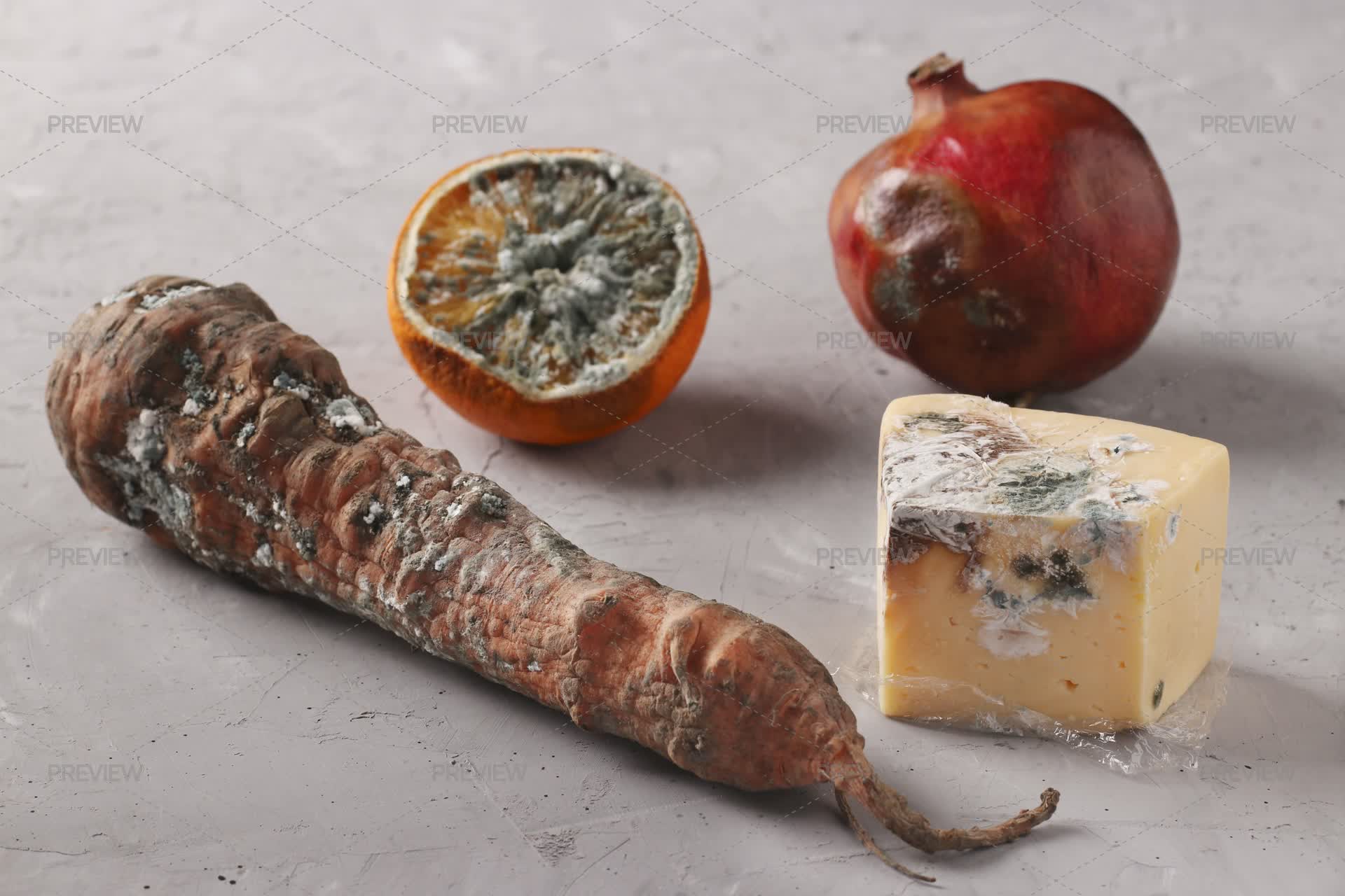 Spoiled Foods With Mold Stock Photos Motion Array spoiled-foods-with-mold-stock-photos-motion-array